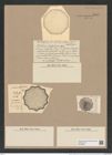 Stictodiscus radfordianus Castrac. (de-Toni-Nr.: Genus 205, Species 5267) Zeichnungen Sammlung Grunow Nr. 9059 (NHMW-BOT-W0378800)